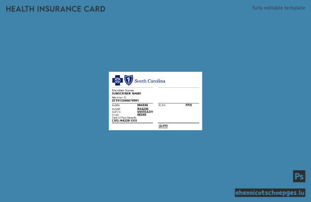 USA, South Carolina – Beispiel einer Krankenversicherungskarte (Vorschau)